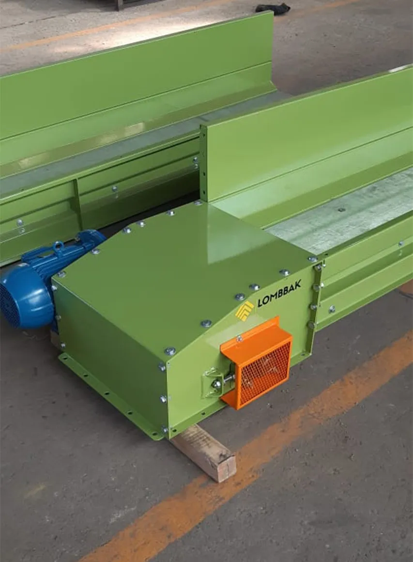 Cintas transportadoras